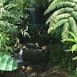 Meet your Posher, Blake